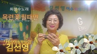 목련꽃 필때면(최성수노래)/하모니카연주 김선영