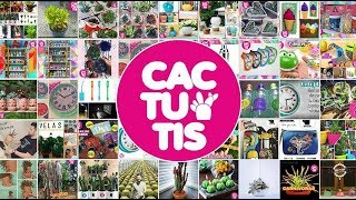 // CACTUTIS ALMACÉN // TIENDA DE REGALOS // ALMACÉN DE CACTUS Y SUCULENTAS