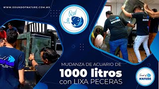 Mudanza de Acuario de 1000 litros con lixa peceras