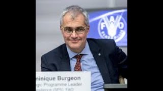 FAO: Dominique Burgeon