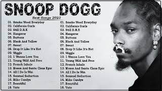 Greatest Hits of Snoop Dogg - Best of Snoop Dogg Mix / the old ones