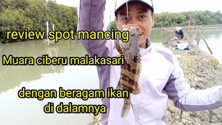 spot mancing legendaris..!! muara ciberu malaka sari/losari (Review)