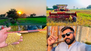 Drill Sowing vs Broadcast (Chatta) Sowing of Wheat | Crop Reformer|Punjab Village Vlog