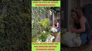 #shorts How to pick up hedge trimming easliy