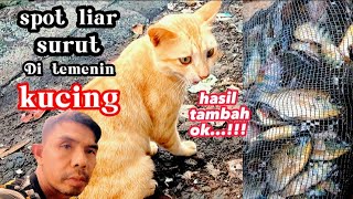 mancing spot liar//di temenin kucing hasil tambah ok...!!!di kamal jakarta utara