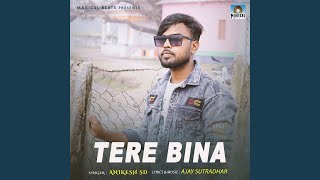 Tere Bina