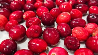 Festive Cranberry Orange Bread