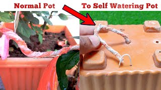 ये ट्रिक हर गमले को Self Watering Pot बना देगी । अब 30 दिनों तक पौधे नही सूखेंगे  #Gardentrick