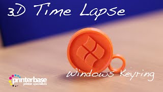 Robox 3D Printer - Windows 10 Keyring