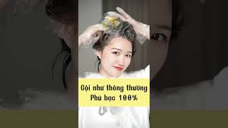 Dầu Gội Nhuộm Tóc Thảo Dược Nâu Hạt Dẻ - Phủ Bạc Lên Màu Nhanh Chóng, An Toàn Thân Thiện Với Da Dầu