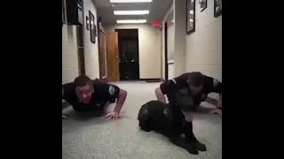 Dog does push ups with cops