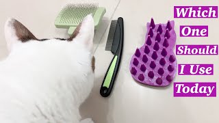 Yuki's hair brushes | zoom groom | safari