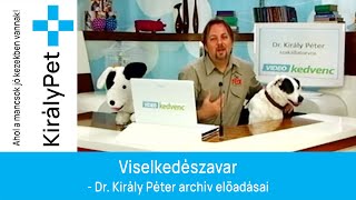 Viselkedészavar