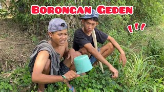 Borongan Geden !!!