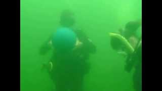 Circleville Training Dives