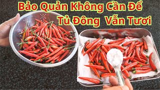 Hôm Nay Em Mới Phát Hiện Ra Cách Bảo Quản Ớt Tươi Lâu Đến Nữa Năm Mà Không Cần Cho Vào Ngăn Đông Tủ