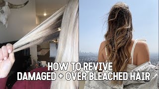 HOW TO REVIVE DAMAGED + OVER BLEACHED HAIR || NOEL LABB