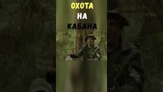 Охота на Кабана | Приколы Охота Рыбалка Туризм | Тик Ток #Shorts