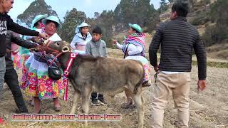 🐄🐑CAPITULO 03: Santiago 2024 al Asociación Santiaguera "MUNDIALITOS" APAYCANCHA de las familias