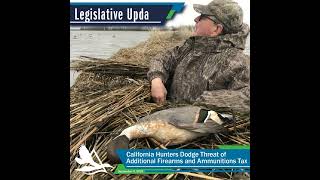 LEGISLATIVE UPDATE: California Hunters Dodge Threat of Additional Firearms and Ammunitions Tax