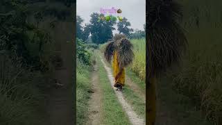 मेरा गाॉंव । #trending #viral #village #shorts #ytshorts#minivlog