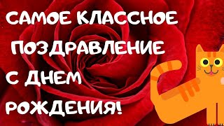 😺ВЕСЕЛОЕ ПОЗДРАВЛЕНИЕ ОТ КОШАКА с Днем рождения