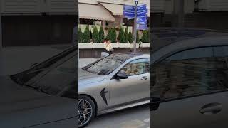 BMW Литвина зарулём Адель