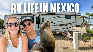 RV Life in Baja Mexico & AMAZING La Paz Excursions