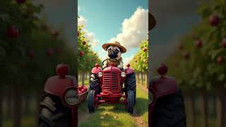 Мопс фермер | Pug farmer