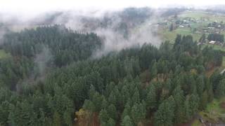 Drone flying about Oregon on a cool, wintery morning