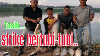 strike patin bertubi-tubi (Camping dan memancing malam di tasik -Part 1)