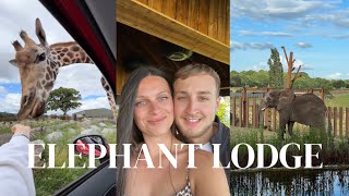 24HRS STAYING IN AN ELEPHANT LODGE🐘 | West Midlands Safari Park Elephant Lodge