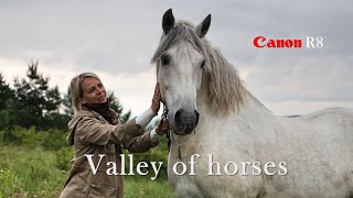 Долина коней. Valley of horses. Canon R8. Cinematic film of wild nature.