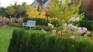 Уют и красота Идеи для ландшафтного дизайна / Comfort and beauty Ideas for landscape design