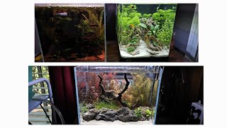 Why I Enjoy Nano Aquariums