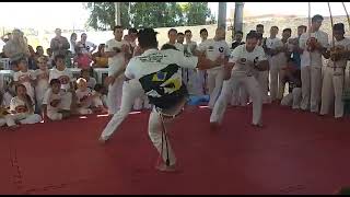 Roda De Capoeira Profissional - Grupo iê Paraná -- Pt. 01