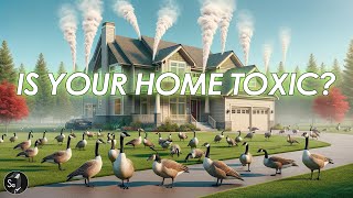 Is Your Home Toxic? | Tech Wednesday