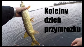 Kolejny dzień przymrozku - późnojesienny spinning