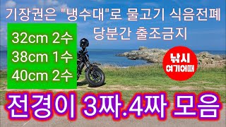 기장권 왕전갱이 3짜.4짜 랜딩시 강력하게 저항하는 힘을 느끼다/아징낚시/대변방파제/부산기장권방파제낚시조황/부산낚시/기장갯바위낚시/방파제생활낚시