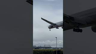 Windy & Rainy Day landings ##planespotting #unitedairline #airportshorts #airportnews