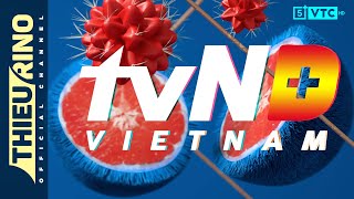 VTC5 — tvN-D Vietnam (tvBlue): ident & Up Next with Sơn Tùng M-TP "CÓ CHẮC ĐÂY LÀ YÊU"