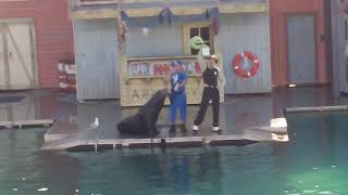 Fish Detectives | Full Show | Sea World