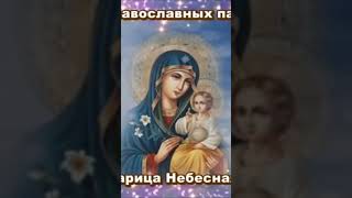 Пресвятая Богородица спаси нас🙏#господь #богородица #молитва #любовь