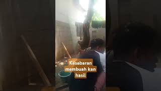 Kesabaran membuahkan hasil