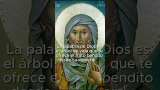 Frases de Santos - San Efrén de Siria - #amor #catholic #frases #santo  #vidasdesantos #fe