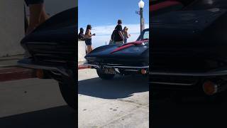 The Black and Red Corvette Sting Ray is such a beautiful car!! #classic #car #shorts