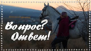 Вопрос-ответ с Медеей #7