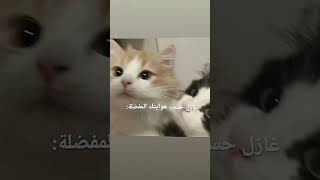 وين ابداعاتكم😭؟