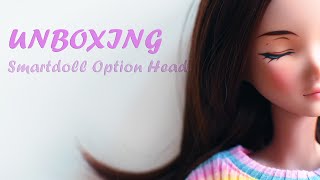 BJD Unboxing ~ Smartdoll Vision Option Head