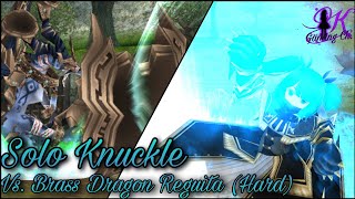 Vs. Brass Dragon Reguita Hard (Solo Knuckles) - [Toram Online]